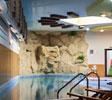 Wellness Bansko